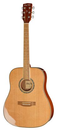 Harley Benton D-120NT