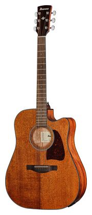 5. Ibanez AW54CE-OPN