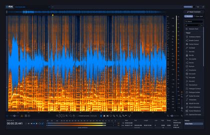 iZotope RX 12 Standard