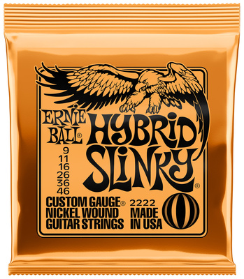 Ernie Ball 2222