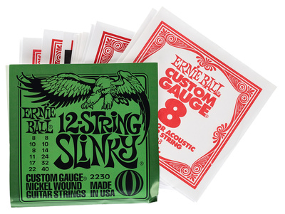 Ernie Ball 2230