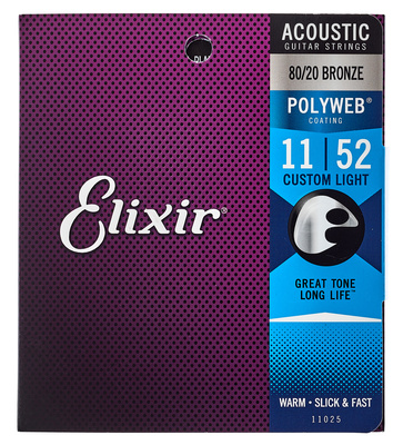 Elixir Polyweb Custom Light Acoustic