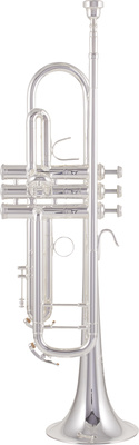 B&S 3137-S Challenger I S