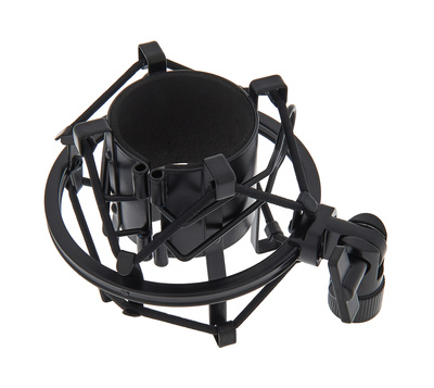 the t.bone SSM 2