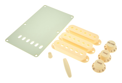 Fender Strat Accessory Kit Aged White