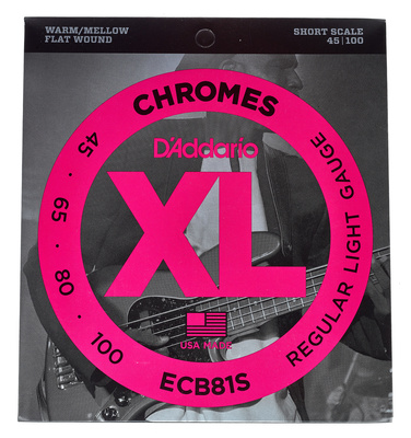 Daddario ECB81S