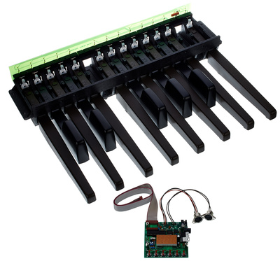 Doepfer MBP25 Electronic with 1 Pedal