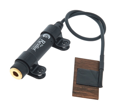 David Gage The Realist Bass Naturalist