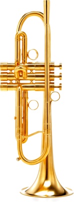 Adams A4 GM Custom BG Heavy 0,45