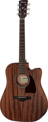 Ibanez AW54CE-OPN