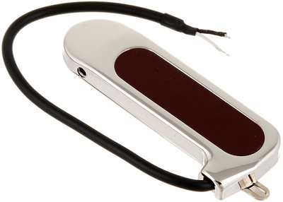 DeArmond Rhythm Chief 1000