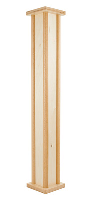 Meinl PRORM1NT Pro Rainmaker