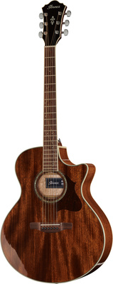 Ibanez AE245-NT