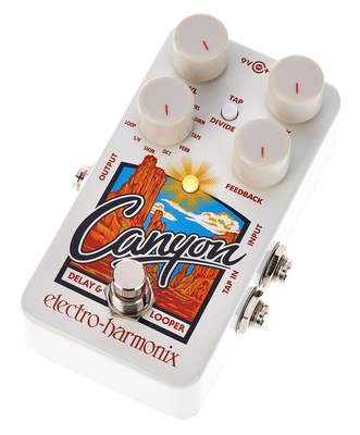 Electro Harmonix Canyon Delay & Looper