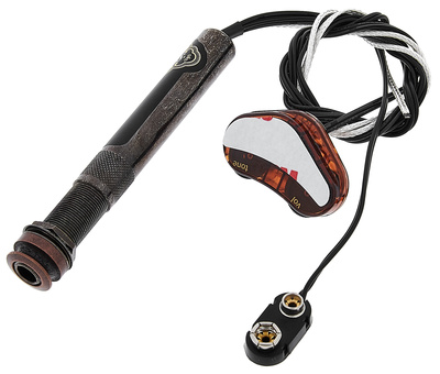 L.R.Baggs Element Active System VTC