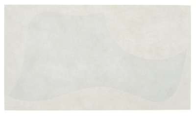 Taylor Pickguard Static Universal