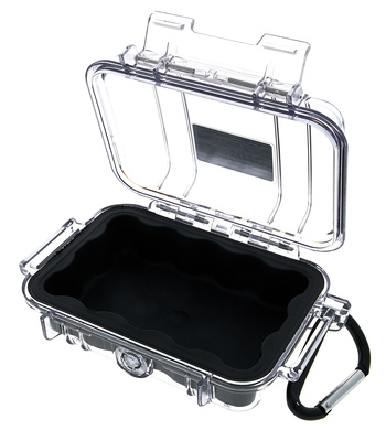 Peli 1010