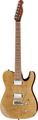 Harley Benton Fusion-T HH Roasted FNT