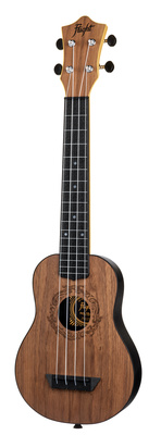 Flight TUSL50 Salamander Travel WN