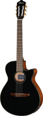 Ibanez AEG50N-BKH Nylon