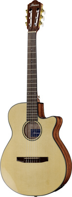 Ibanez AEG50N-NT Nylon