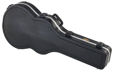 Ibanez MM100C Case for AM