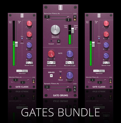 Slate Digital Gates Bundle – Thomann España