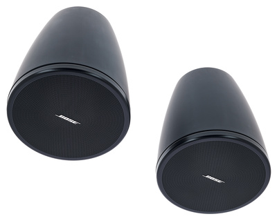 Bose Professional DesignMax DM3P black