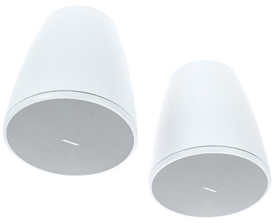 Bose Professional DesignMax DM6PE white
