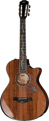 Taylor PS12ce 12 Fret Honduran RW