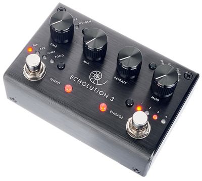 Pigtronix Echolution 3
