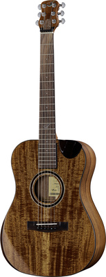Journey Instruments OF882C Acacia Acoustic