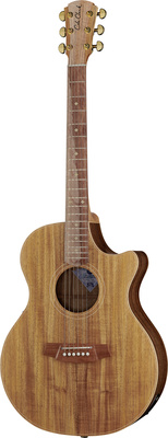 Cole Clark AN2EC-BLBL Angel