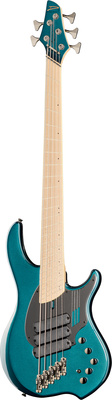 Dingwall NG3 Nolly Sig.5 Black Forrest