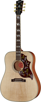 Gibson Hummingbird Faded