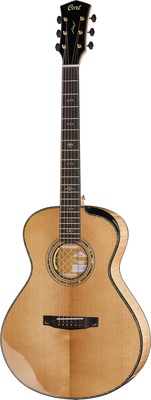 Cort Gold Passion