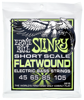 Ernie Ball Flatwound 2818