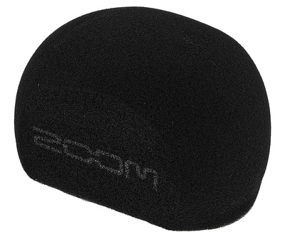 Zoom WSH-6
