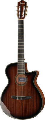 Ibanez AEG74N-MHS