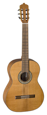 La Mancha Aliso Macizo