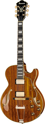 Ibanez AG95K-NT