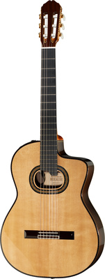 Takamine DH90 w/Softcase