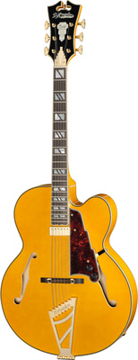 DAngelico Excel EXL1 Amber