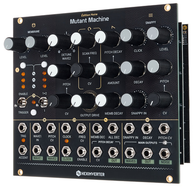 Hexinverter Électronique Mutant Machine