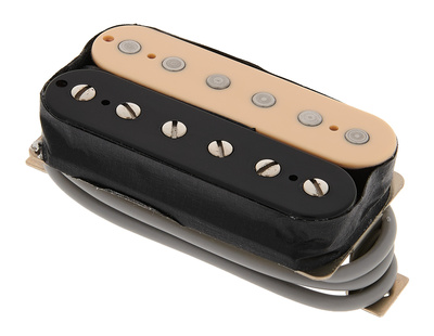 Gibson P-498T Zebra