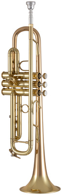 Bach 17043GY Bb-Trumpet