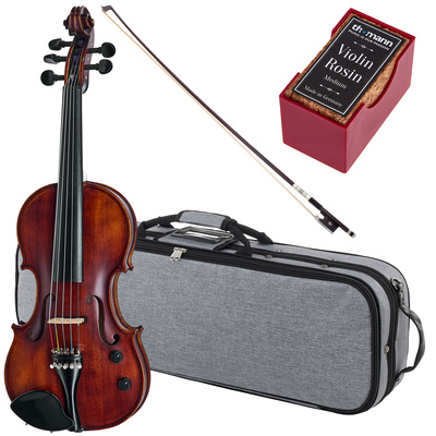 Roth & Junius Acoustic-Electric 5-Str Vn Set