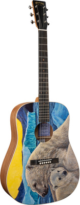 Martin Guitar D Bioshpere III