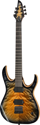 Mayones Guitars Duvell Elite 6 Quilted Maple