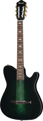 Ibanez FRH20FMN-DGL
